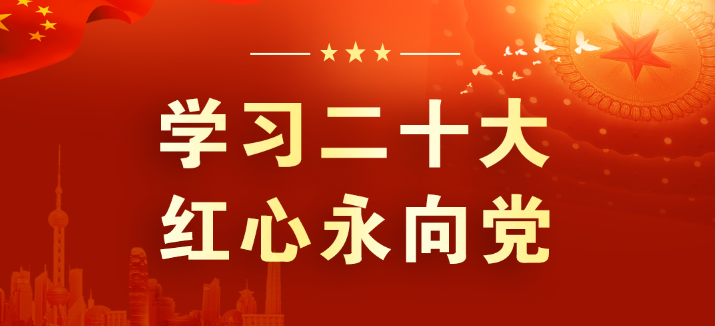山東三星集團(tuán)：學(xué)習(xí)領(lǐng)會二十大 征程踏新永前行