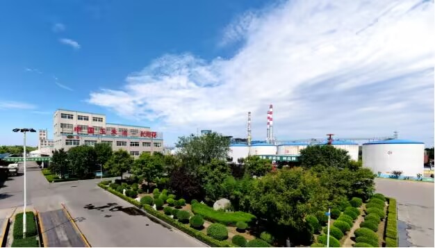 長壽花食品通過國家知識(shí)產(chǎn)權(quán)優(yōu)勢企業(yè)復(fù)核