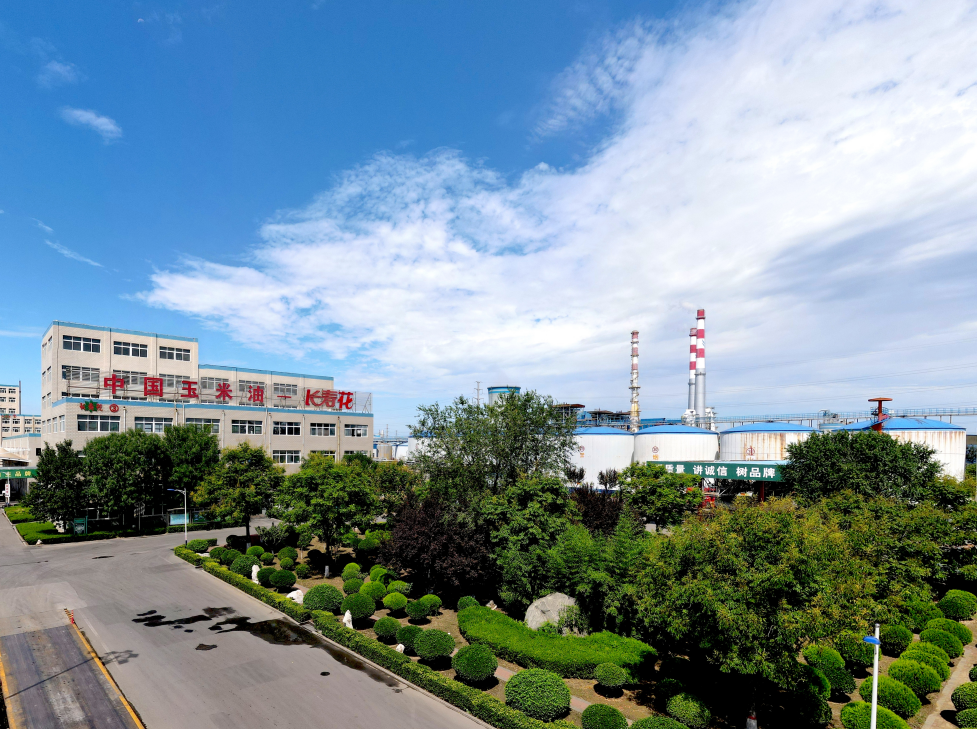 這些屬于長(zhǎng)壽花的關(guān)鍵詞標(biāo)簽，你了解嗎