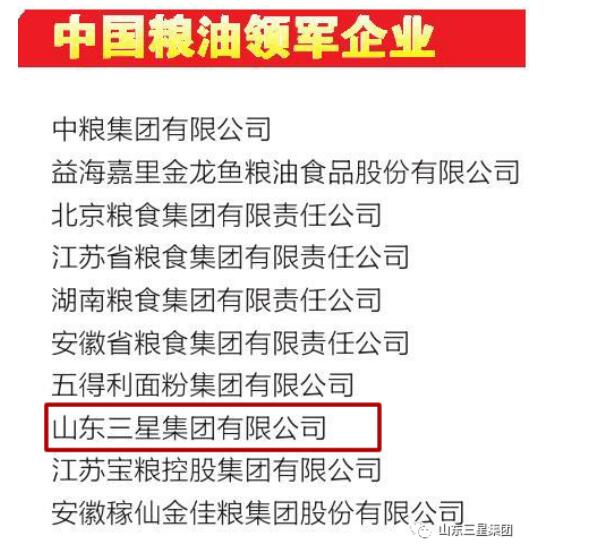 山東三星集團獲評“中國糧油領軍企業(yè)”